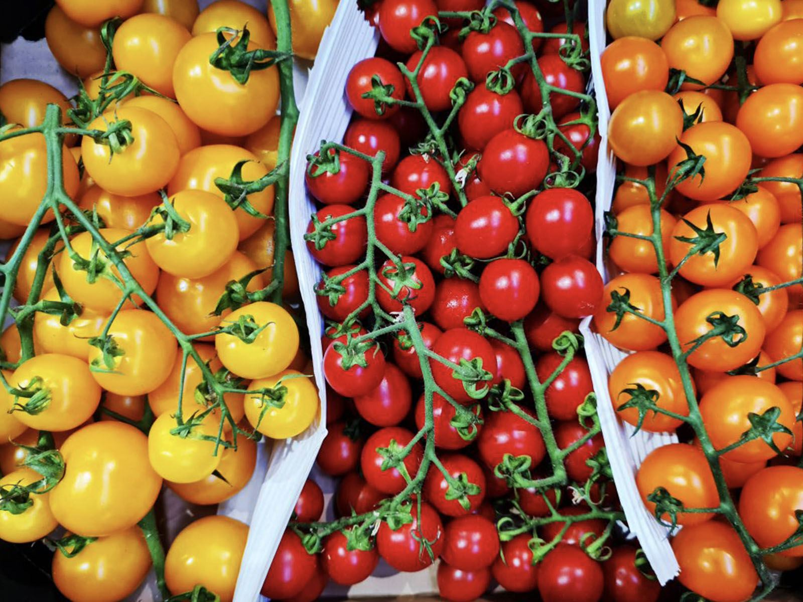 fast-fresh-service-montgomery-forklift-cs-vegetables